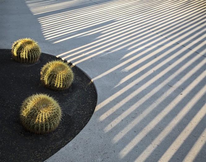 Sunnylands I_JoanConcetta_Biordi (1528 x 1204)